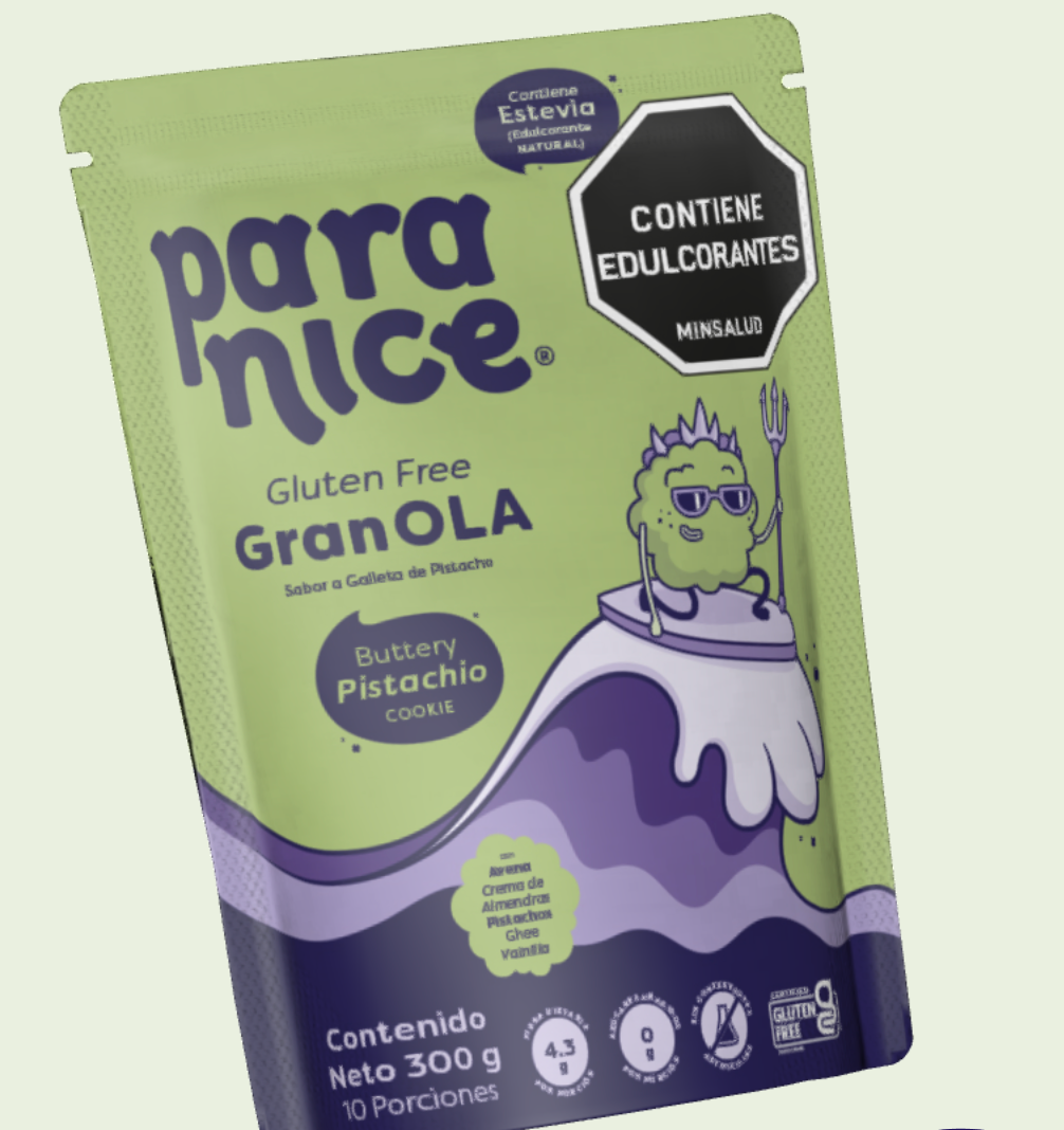 Granola Chocolate Chip Cookie 300gr (WHY NOT)