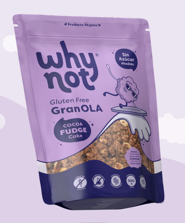 Granola Cocoa Fudge Cake 300g (WHY NOT)