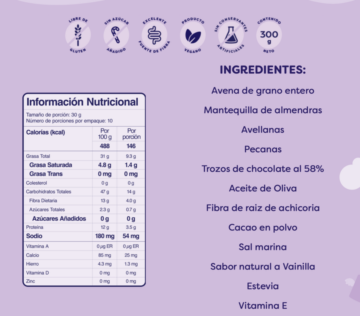 Granola Cocoa Fudge Cake 300g (WHY NOT)